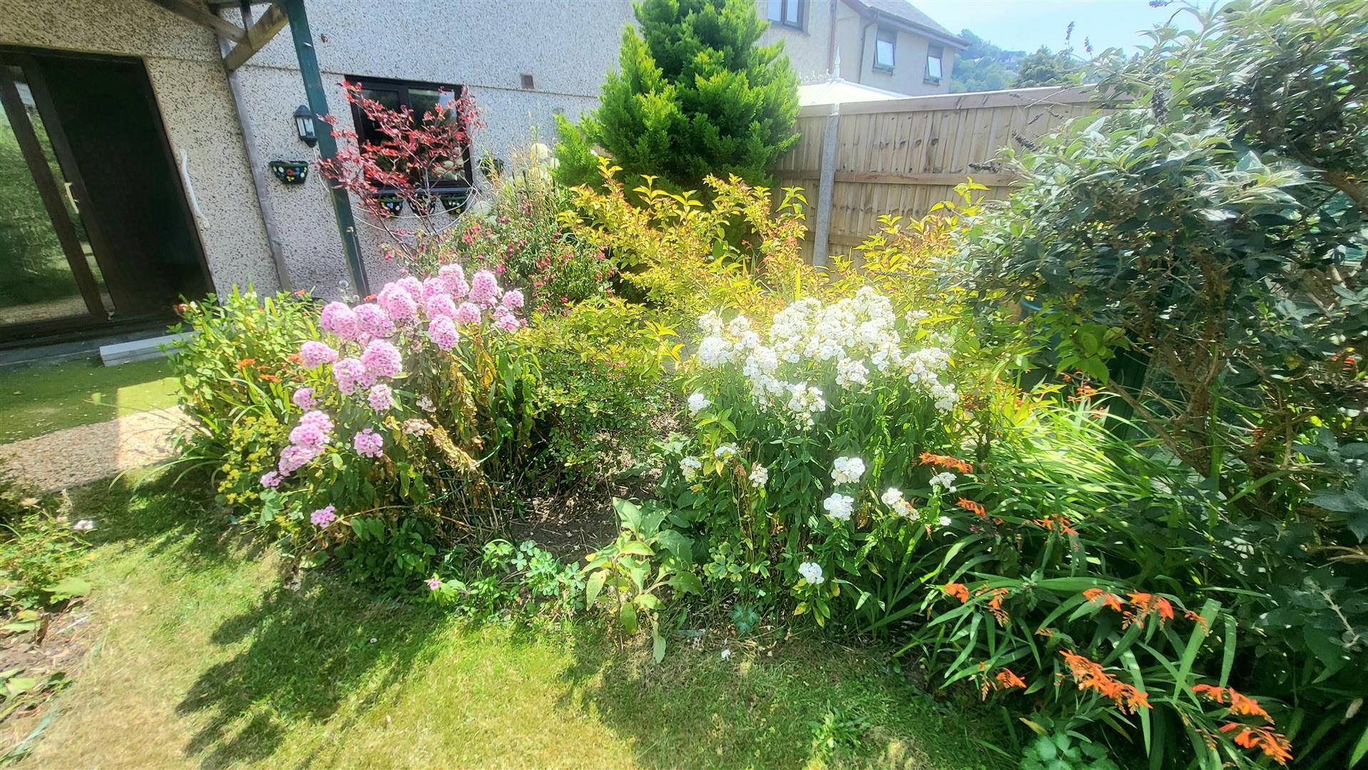 20260716_132356.jpg